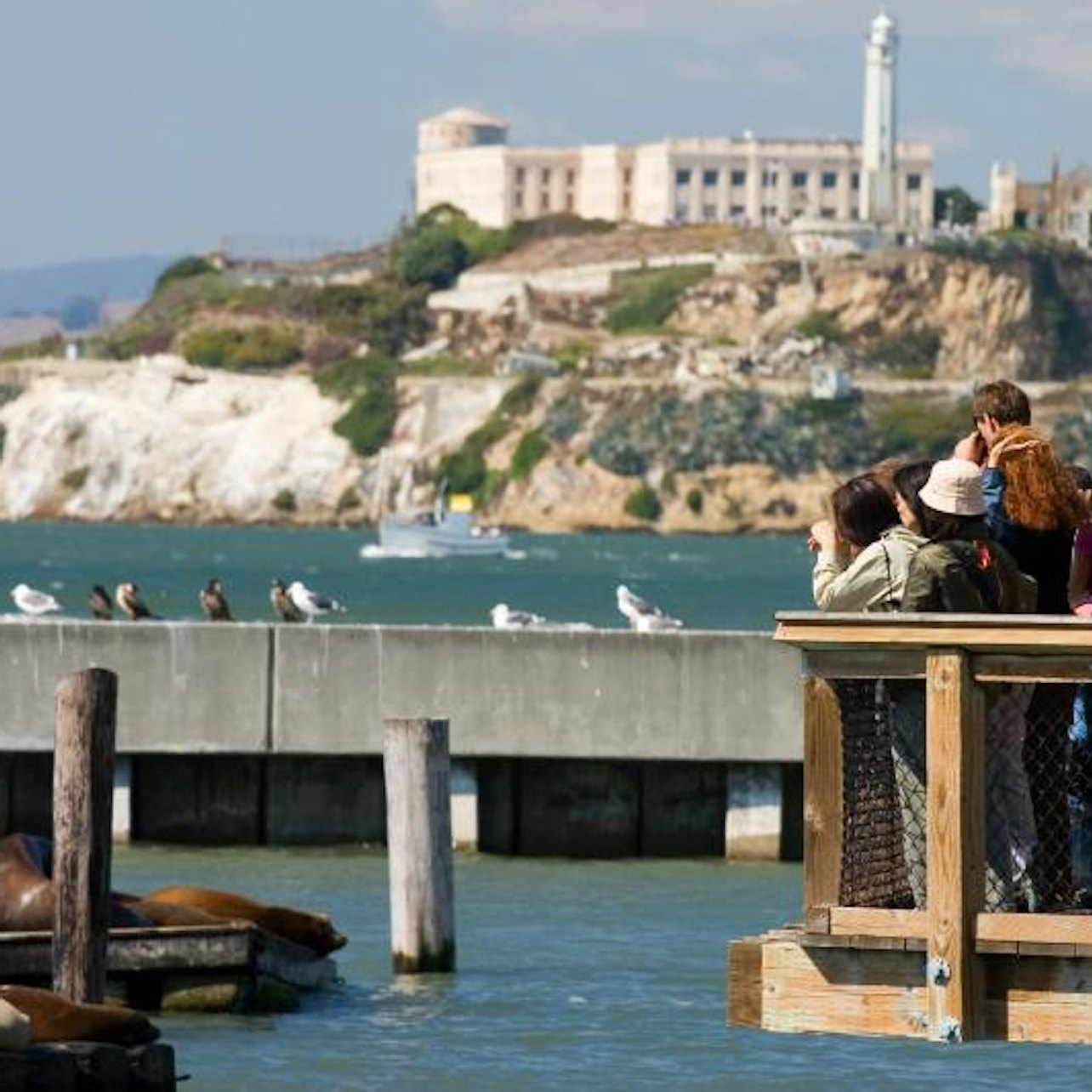 Alcatraz Island and San Francisco City Bus Tour - Photo 1 of 4